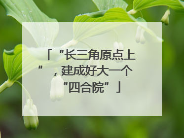 “长三角原点上”，建成好大一个“四合院”