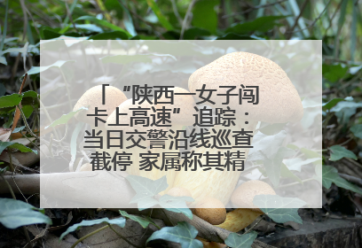 “陕西一女子闯卡上高速”追踪：当日交警沿线巡查截停 家属称其精神异常，已送医