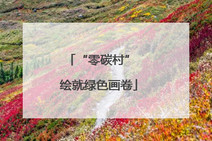 “零碳村” 绘就绿色画卷