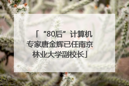 “80后”计算机专家唐金辉已任南京林业大学副校长