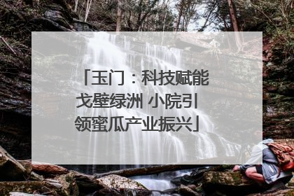 玉门：科技赋能戈壁绿洲 小院引领蜜瓜产业振兴