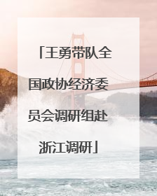 王勇带队全国政协经济委员会调研组赴浙江调研