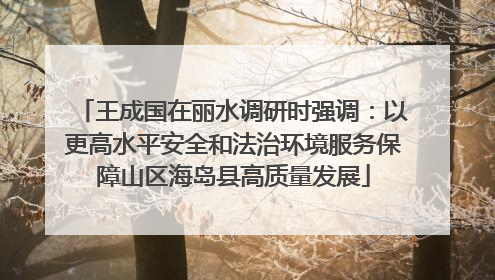 王成国在丽水调研时强调：以更高水平安全和法治环境服务保障山区海岛县高质量发展