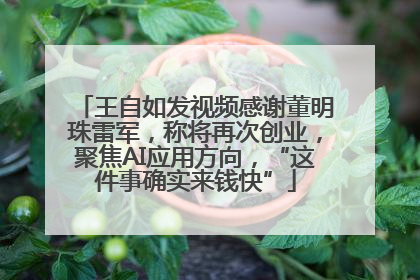 王自如发视频感谢董明珠雷军，称将再次创业，聚焦AI应用方向，“这件事确实来钱快”