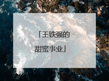 王铁强的甜蜜事业