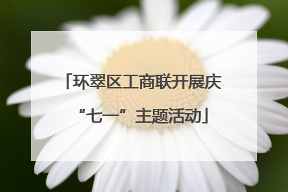 环翠区工商联开展庆“七一”主题活动