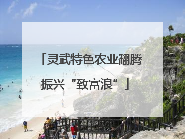 灵武特色农业翻腾振兴“致富浪”