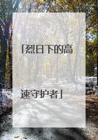 烈日下的高速守护者