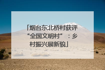 烟台东北桥村获评“全国文明村”：乡村振兴展新貌