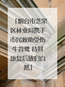 烟台市芝罘区林业局携手市民救助受伤牛背鹭 待其康复后放归自然