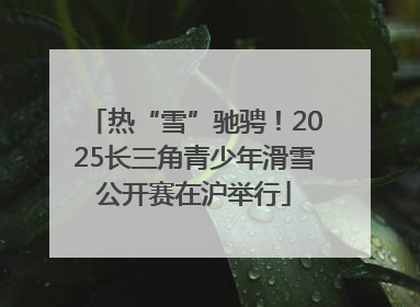 热“雪”驰骋！2025长三角青少年滑雪公开赛在沪举行