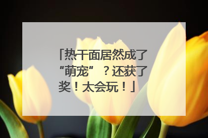 热干面居然成了“萌宠”？还获了奖！太会玩！