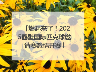 燃起来了！2025鹤壁国际匹克球邀请赛激情开赛