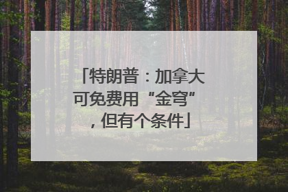 特朗普：加拿大可免费用“金穹”，但有个条件