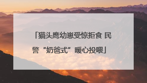 猫头鹰幼崽受惊拒食 民警“奶爸式”暖心投喂