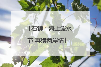 石狮：海上泼水节 再续两岸情