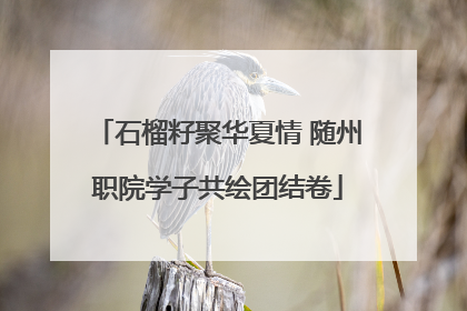 石榴籽聚华夏情 随州职院学子共绘团结卷