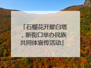 石榴花开耀白塔，新街口举办民族共同体宣传活动