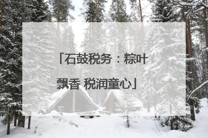 石鼓税务：粽叶飘香 税润童心