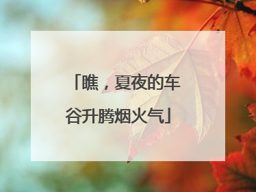瞧，夏夜的车谷升腾烟火气
