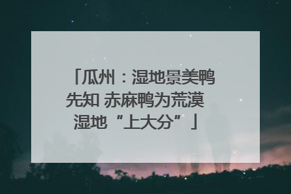 瓜州：湿地景美鸭先知 赤麻鸭为荒漠湿地“上大分”
