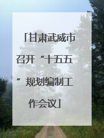 甘肃武威市召开“十五五”规划编制工作会议