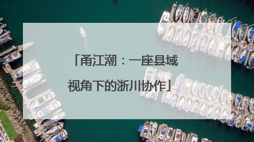 甬江潮：一座县域视角下的浙川协作