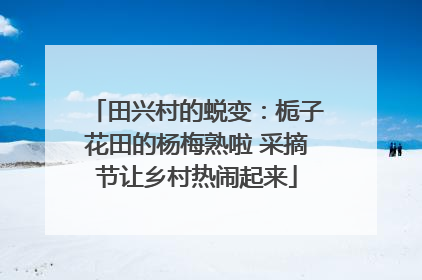 田兴村的蜕变：栀子花田的杨梅熟啦 采摘节让乡村热闹起来