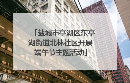 盐城市亭湖区东亭湖街道北林社区开展端午节主题活动