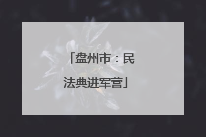 盘州市：民法典进军营
