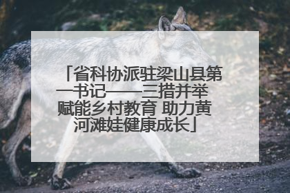 省科协派驻梁山县第一书记——三措并举 赋能乡村教育 助力黄河滩娃健康成长
