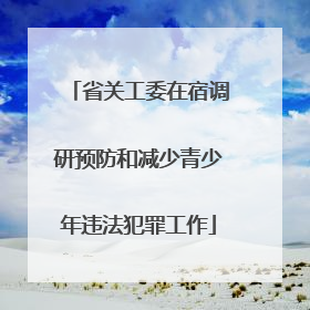 省关工委在宿调研预防和减少青少年违法犯罪工作