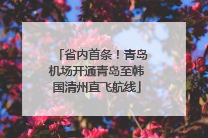 省内首条！青岛机场开通青岛至韩国清州直飞航线