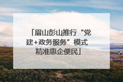眉山彭山推行“党建+政务服务”模式 精准惠企便民