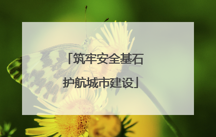 筑牢安全基石 护航城市建设