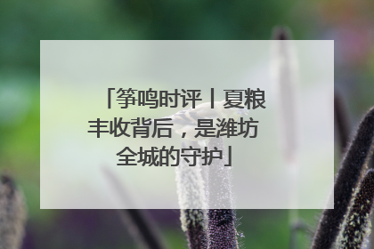 筝鸣时评丨夏粮丰收背后，是潍坊全城的守护
