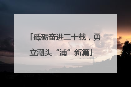 砥砺奋进三十载，勇立潮头“浦”新篇