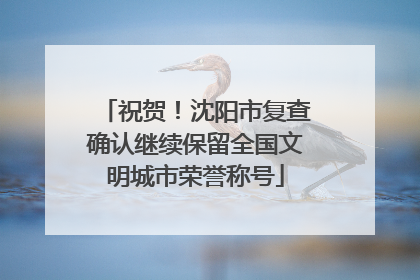 祝贺！沈阳市复查确认继续保留全国文明城市荣誉称号