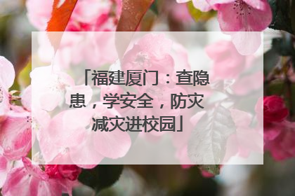 福建厦门：查隐患，学安全，防灾减灾进校园