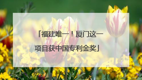 福建唯一！厦门这一项目获中国专利金奖