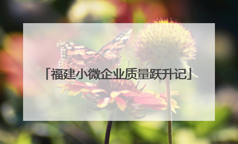 福建小微企业质量跃升记