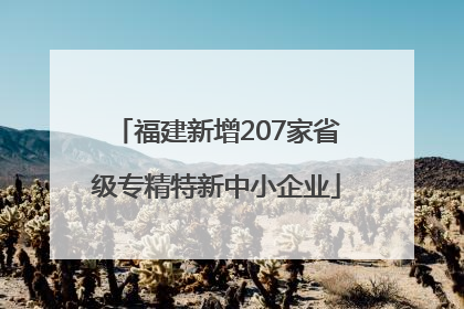 福建新增207家省级专精特新中小企业