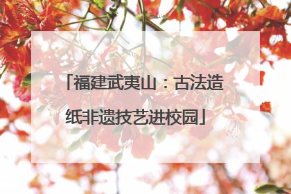 福建武夷山：古法造纸非遗技艺进校园