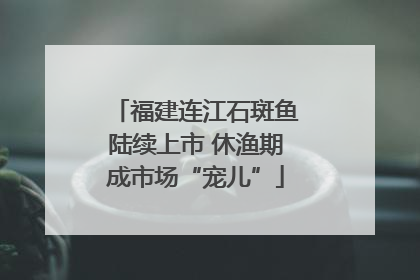 福建连江石斑鱼陆续上市 休渔期成市场“宠儿”