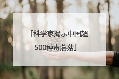 科学家揭示中国超500种毒蘑菇
