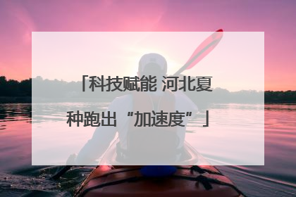 科技赋能 河北夏种跑出“加速度”