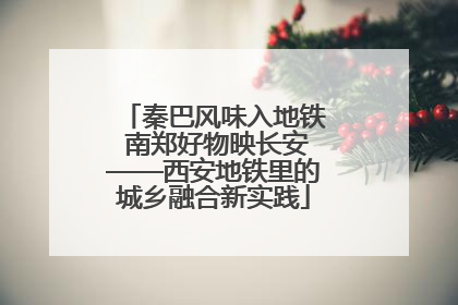 秦巴风味入地铁 南郑好物映长安——西安地铁里的城乡融合新实践