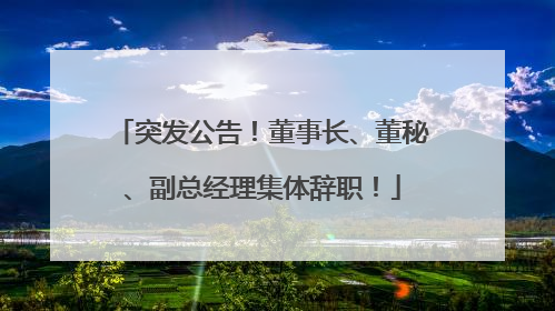 突发公告！董事长、董秘、副总经理集体辞职！