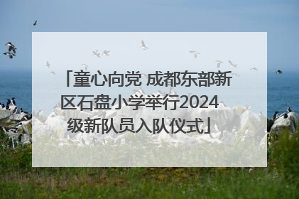 童心向党 成都东部新区石盘小学举行2024级新队员入队仪式