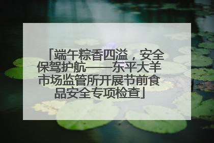 端午粽香四溢，安全保驾护航——东平大羊市场监管所开展节前食品安全专项检查